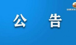 甘肃爆料最新消息视频,视频揭露惊人真相！